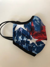 Load image into Gallery viewer, AMERICANA Face Mask